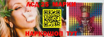 СК Новокубанск
