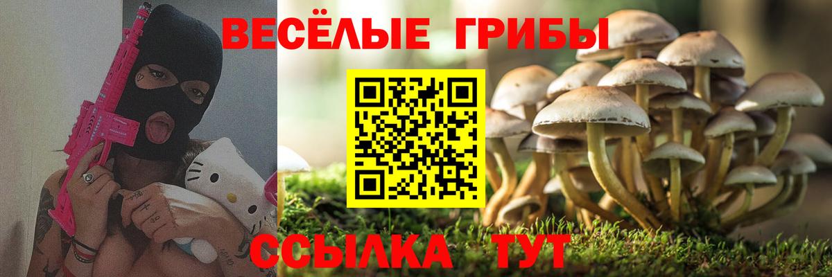 Геленджик  Галлюциногенные грибы Magic Shrooms  Вход с VPN  Галлюциногенные грибы Magic Shrooms 