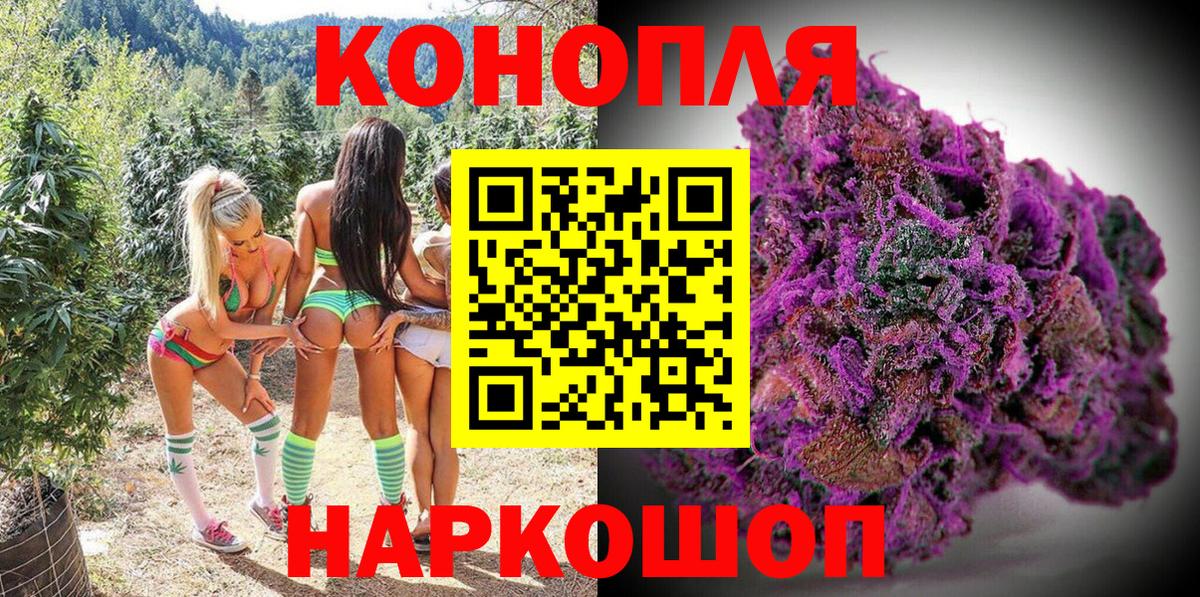Марихуана OG Kush Геленджик